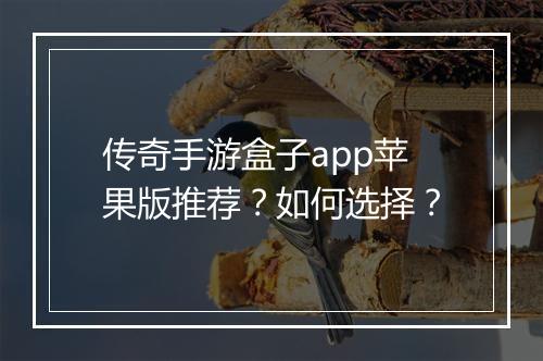 传奇手游盒子app苹果版推荐？如何选择？