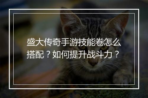 盛大传奇手游技能卷怎么搭配？如何提升战斗力？