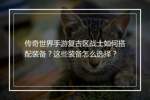 传奇世界手游复古区战士如何搭配装备？这些装备怎么选择？