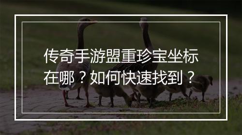 传奇手游盟重珍宝坐标在哪？如何快速找到？