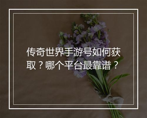 传奇世界手游号如何获取？哪个平台最靠谱？