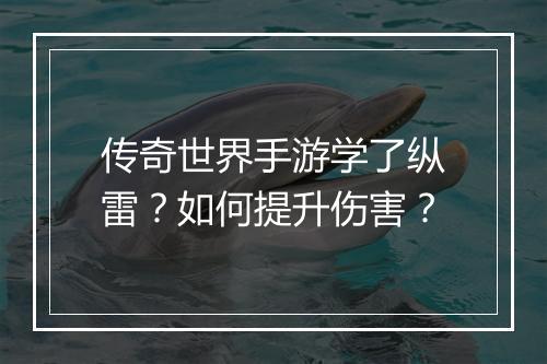 传奇世界手游学了纵雷？如何提升伤害？