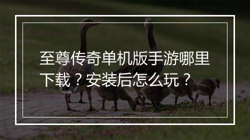 至尊传奇单机版手游哪里下载？安装后怎么玩？