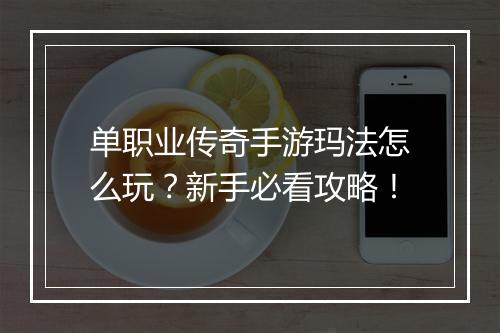 单职业传奇手游玛法怎么玩？新手必看攻略！