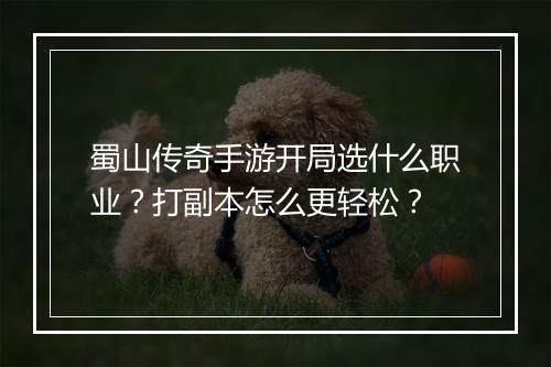 蜀山传奇手游开局选什么职业？打副本怎么更轻松？