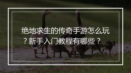 绝地求生的传奇手游怎么玩？新手入门教程有哪些？