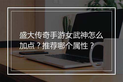 盛大传奇手游女武神怎么加点？推荐哪个属性？