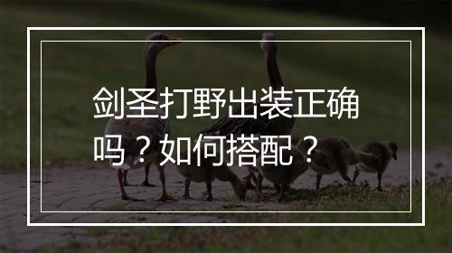剑圣打野出装正确吗？如何搭配？