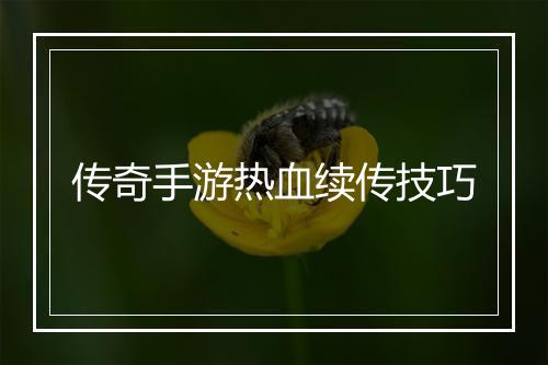 传奇手游热血续传技巧