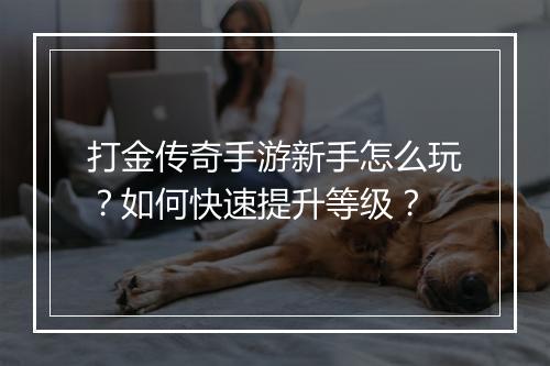 打金传奇手游新手怎么玩？如何快速提升等级？