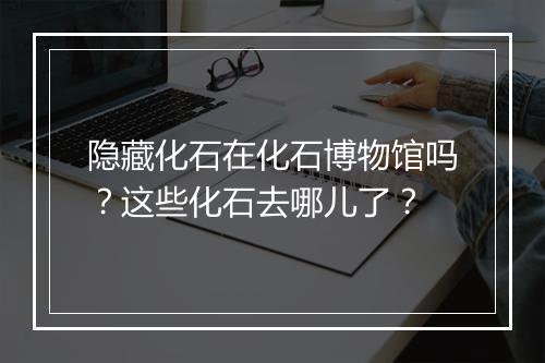 隐藏化石在化石博物馆吗？这些化石去哪儿了？