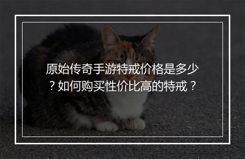 原始传奇手游特戒价格是多少？如何购买性价比高的特戒？