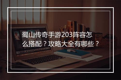 蜀山传奇手游203阵容怎么搭配？攻略大全有哪些？