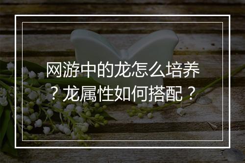网游中的龙怎么培养？龙属性如何搭配？