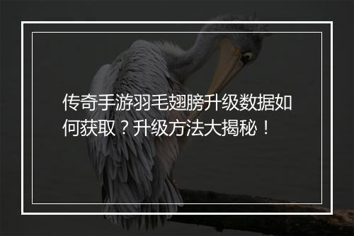 传奇手游羽毛翅膀升级数据如何获取？升级方法大揭秘！