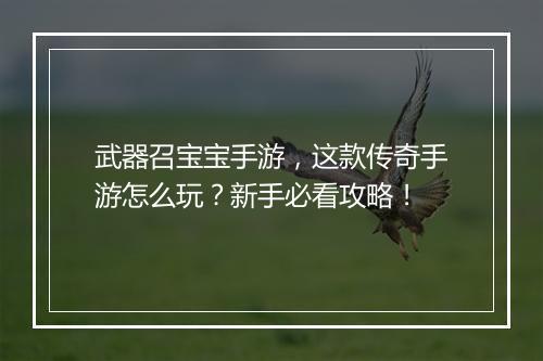 武器召宝宝手游，这款传奇手游怎么玩？新手必看攻略！