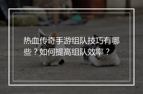 热血传奇手游组队技巧有哪些？如何提高组队效率？