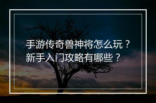 手游传奇兽神将怎么玩？新手入门攻略有哪些？