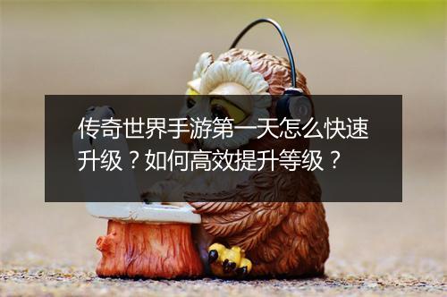 传奇世界手游第一天怎么快速升级？如何高效提升等级？