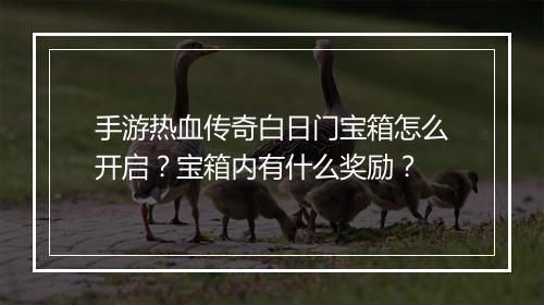 手游热血传奇白日门宝箱怎么开启？宝箱内有什么奖励？