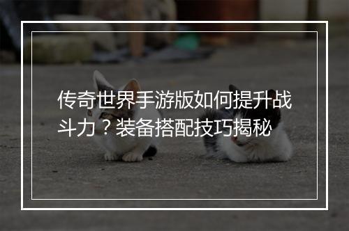 传奇世界手游版如何提升战斗力？装备搭配技巧揭秘