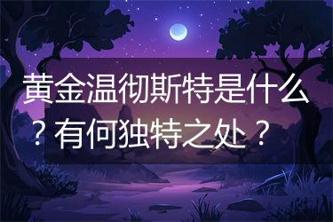 黄金温彻斯特是什么？有何独特之处？