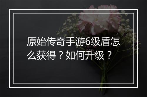 原始传奇手游6级盾怎么获得？如何升级？