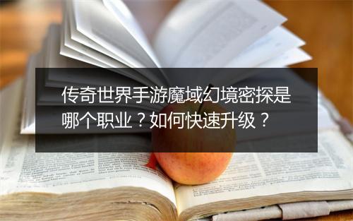 传奇世界手游魔域幻境密探是哪个职业？如何快速升级？