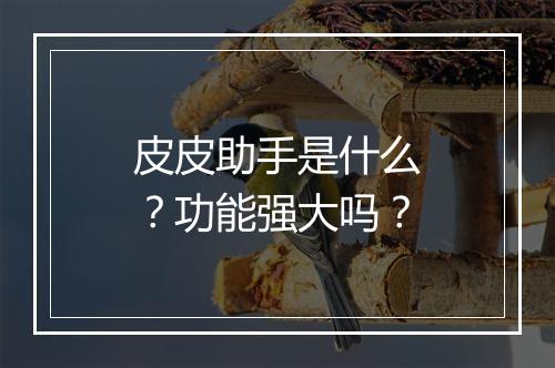 皮皮助手是什么？功能强大吗？