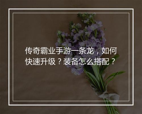 传奇霸业手游一条龙，如何快速升级？装备怎么搭配？