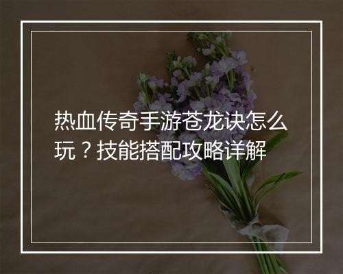 热血传奇手游苍龙诀怎么玩？技能搭配攻略详解