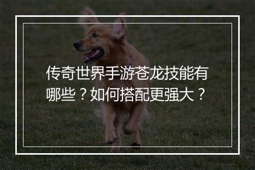 传奇世界手游苍龙技能有哪些？如何搭配更强大？