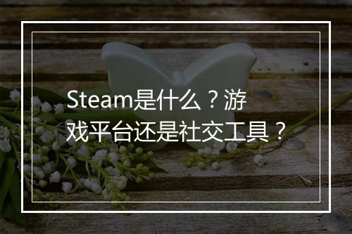 Steam是什么？游戏平台还是社交工具？