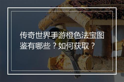 传奇世界手游橙色法宝图鉴有哪些？如何获取？
