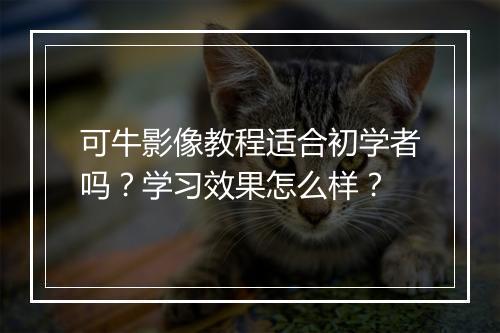 可牛影像教程适合初学者吗？学习效果怎么样？