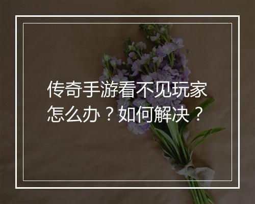 传奇手游看不见玩家怎么办？如何解决？