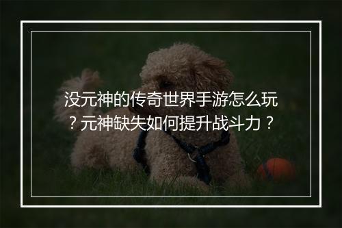 没元神的传奇世界手游怎么玩？元神缺失如何提升战斗力？