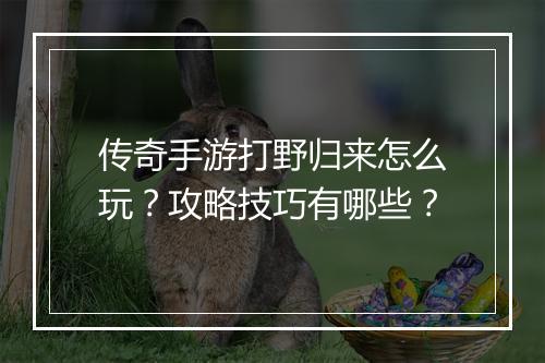 传奇手游打野归来怎么玩？攻略技巧有哪些？