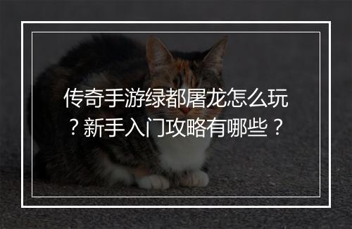 传奇手游绿都屠龙怎么玩？新手入门攻略有哪些？
