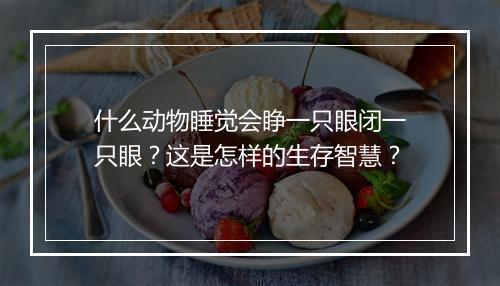 什么动物睡觉会睁一只眼闭一只眼？这是怎样的生存智慧？
