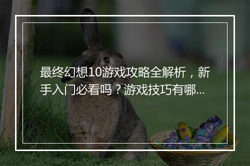 最终幻想10游戏攻略全解析，新手入门必看吗？游戏技巧有哪些？