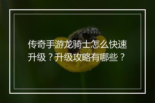 传奇手游龙骑士怎么快速升级？升级攻略有哪些？