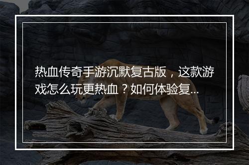 热血传奇手游沉默复古版，这款游戏怎么玩更热血？如何体验复古魅力？