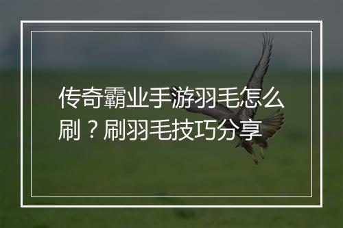 传奇霸业手游羽毛怎么刷？刷羽毛技巧分享
