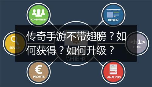 传奇手游不带翅膀？如何获得？如何升级？