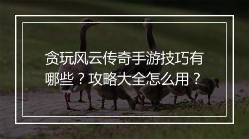 贪玩风云传奇手游技巧有哪些？攻略大全怎么用？