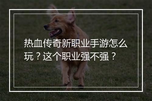 热血传奇新职业手游怎么玩？这个职业强不强？