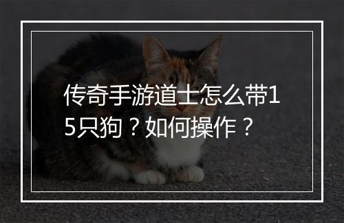 传奇手游道士怎么带15只狗？如何操作？