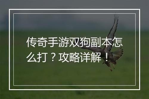 传奇手游双狗副本怎么打？攻略详解！
