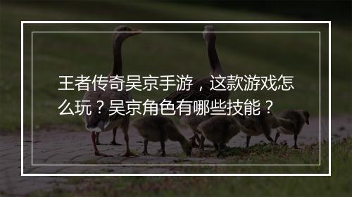 王者传奇吴京手游，这款游戏怎么玩？吴京角色有哪些技能？